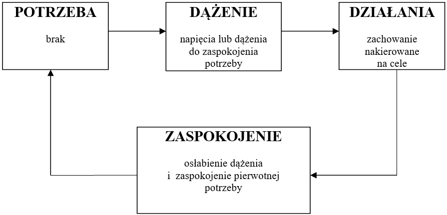 Model motywacji według teorii treści